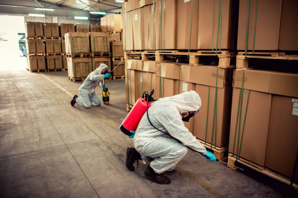 Reliable Roanoke Rapids, NC Pest Control Solutions