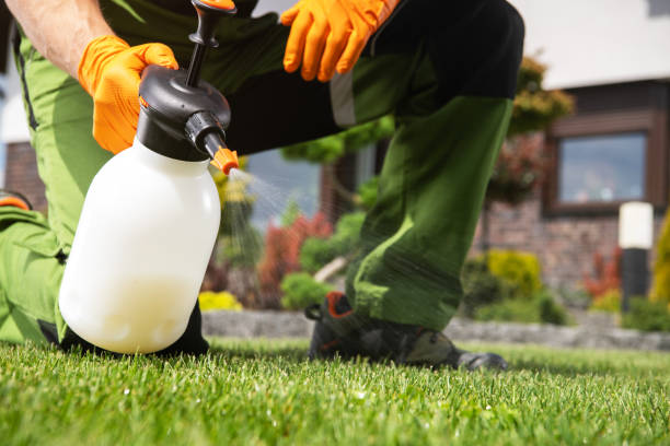 Best Rat Extermination Near Me  in Roanoke Rapids, NC