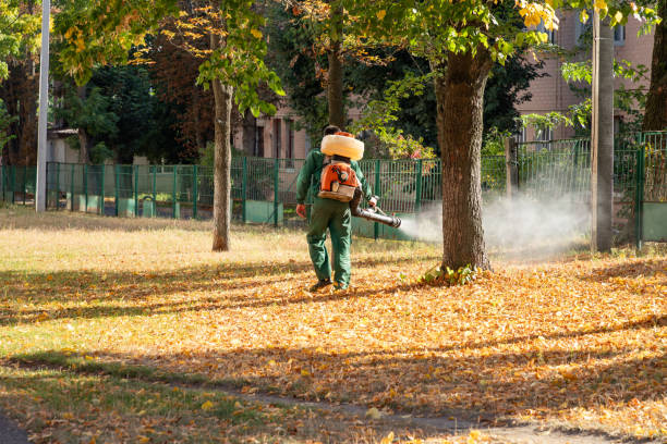 Best Wasp Removal Services  in Roanoke Rapids, NC
